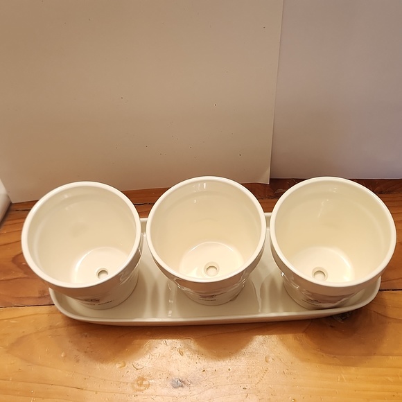 Rae Dunn Window Sill Planter Set - Picture 5 of 8